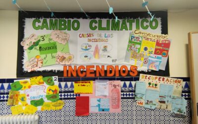 Los incendios, causas y consecuencias